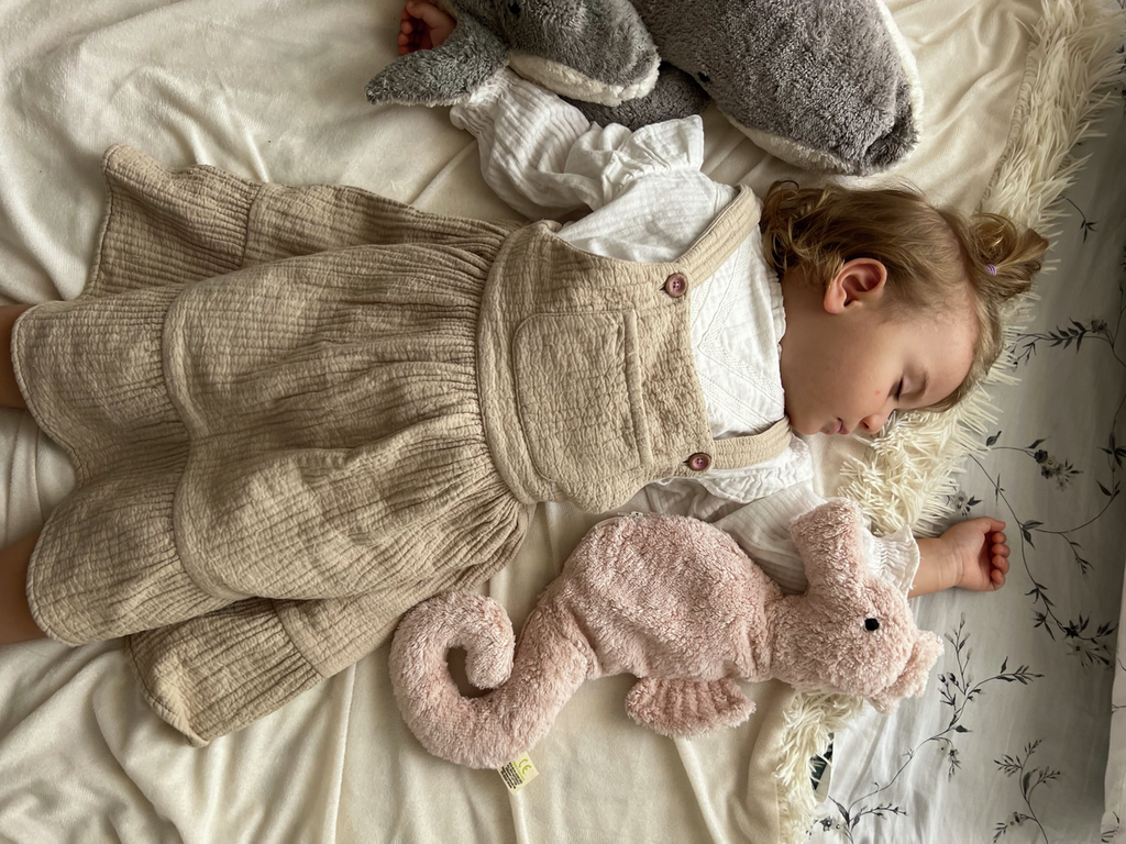 Kuscheltier & Wärmekissen Seepferdchen