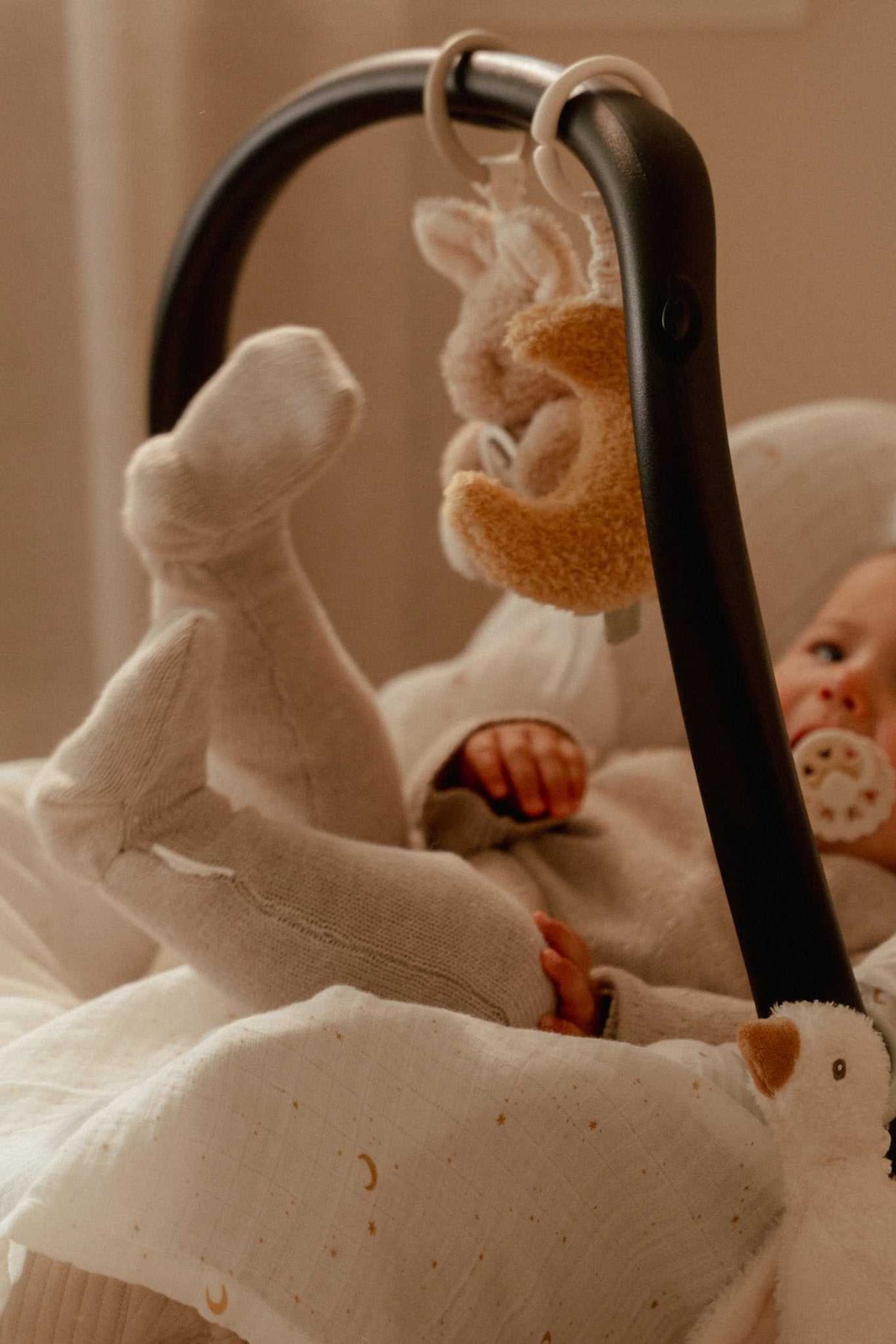 Aktivitätshänger/ Newborn Naturals