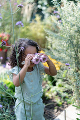 Fernglas/ Fairy Garden