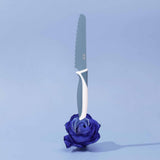 Kindermesser/ Blueberry