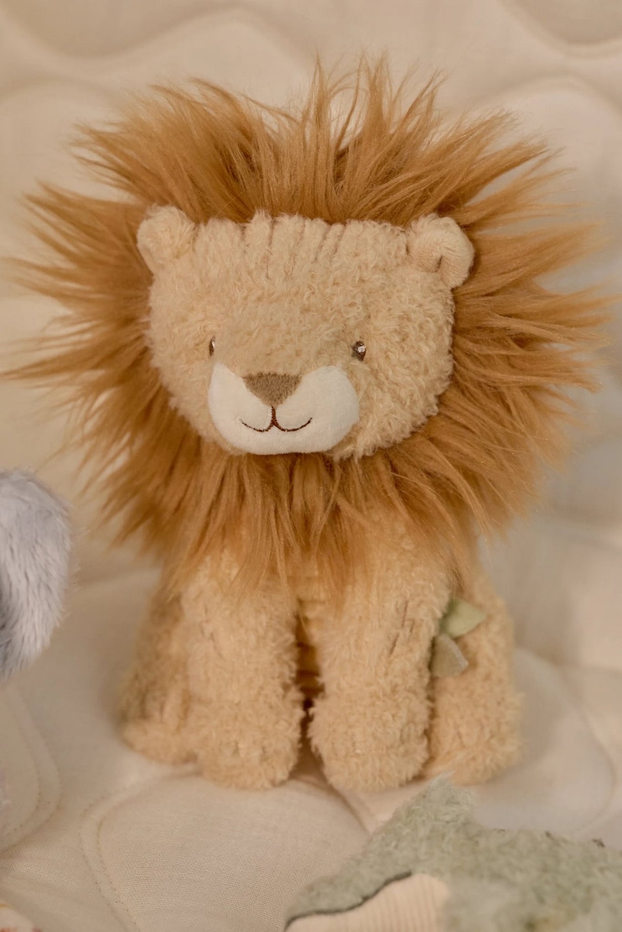 Geschenkset - Safari Friends