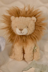 Geschenkset - Safari Friends