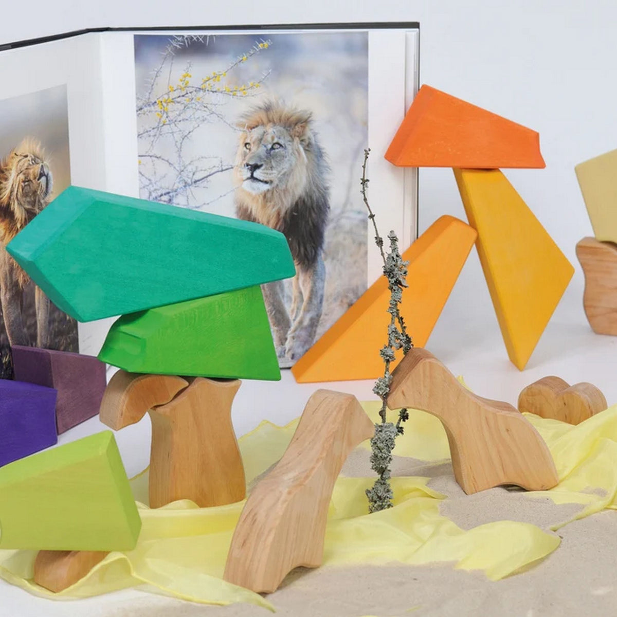 Bauspiel Regenbogenlöwe