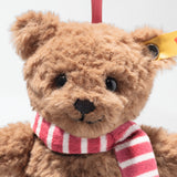 Weihnachten Ben Teddybär