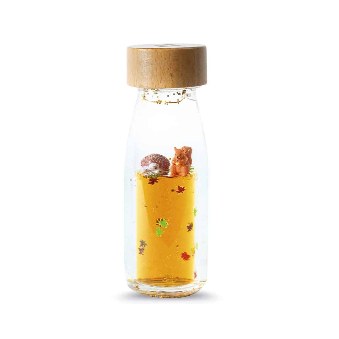Sensory Bottle/ Bouteille sensorielle