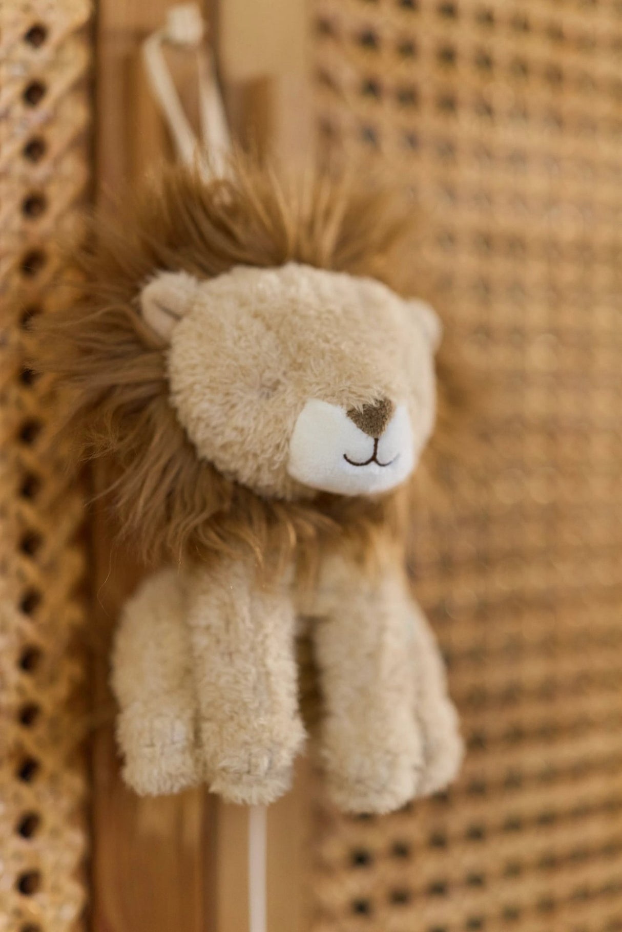 Spieluhr Löwe - Safari Friends