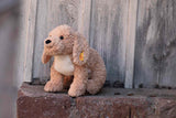 Berno Goldendoodle